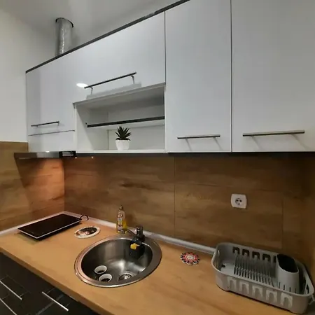 Apartment Djukic Soko Banja