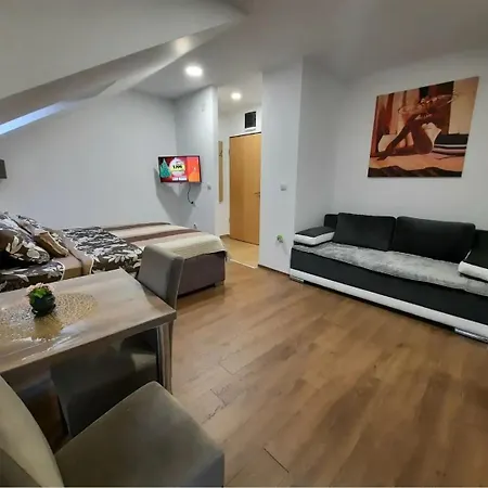 Apartment Djukic *