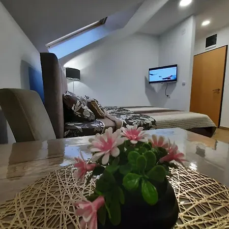 Apartment Djukic Soko Banja